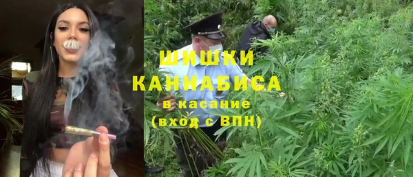 шишки Беломорск