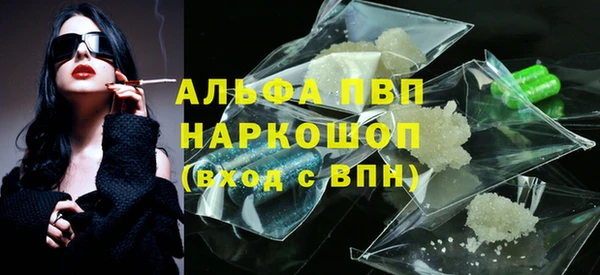 шишки Беломорск
