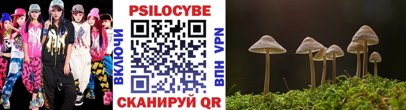 где купить   Усмань  ссылка на мегу ссылки  Псилоцибиновые грибы мицелий 